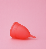 Muses Cup